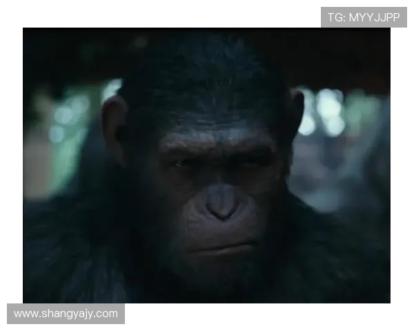 围绕猩球崛起豆瓣热度深度解析人猿文明崛起背后传奇故事 围绕猩球崛起豆瓣热度深度解析人猿文明崛起背后传奇故事