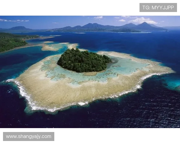 《CSI:迈阿密第九季》:热带风情下的罪恶迷局,重温经典海岛刑侦传奇 《CSI:迈阿密第九季》:热带风情下的罪恶迷局,重温经典海岛刑侦传奇