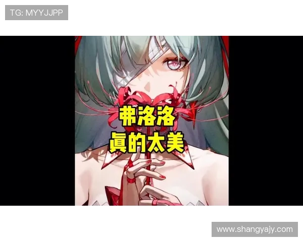 弗洛：解锁生命之美，一场关于“遇见”的奇遇